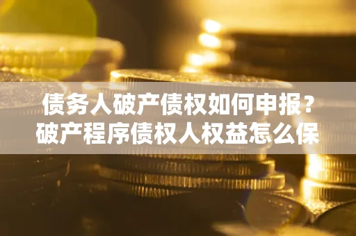 北京债务人破产债权如何申报？破产程序债权人权益怎么保障？