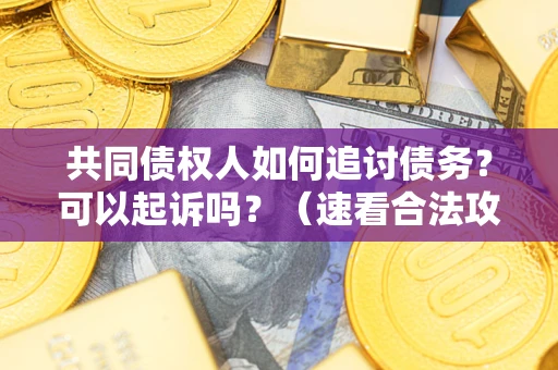 北京共同债权人如何追讨债务？可以起诉吗？（速看合法攻略）